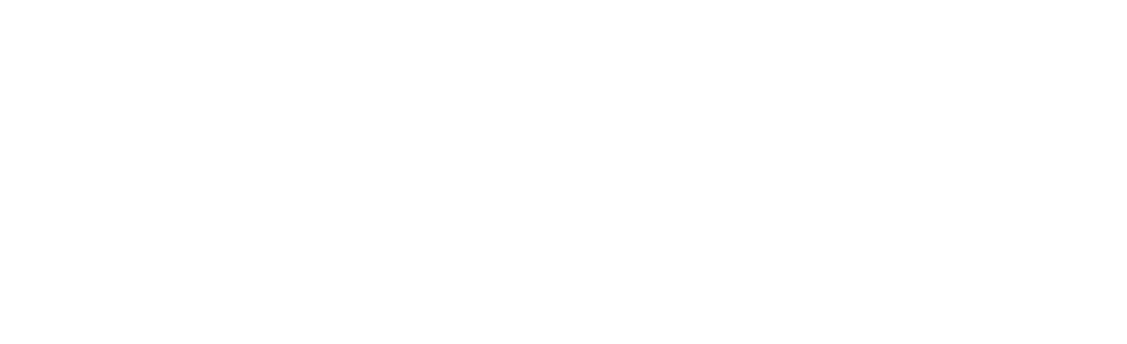 Digital Government Authority